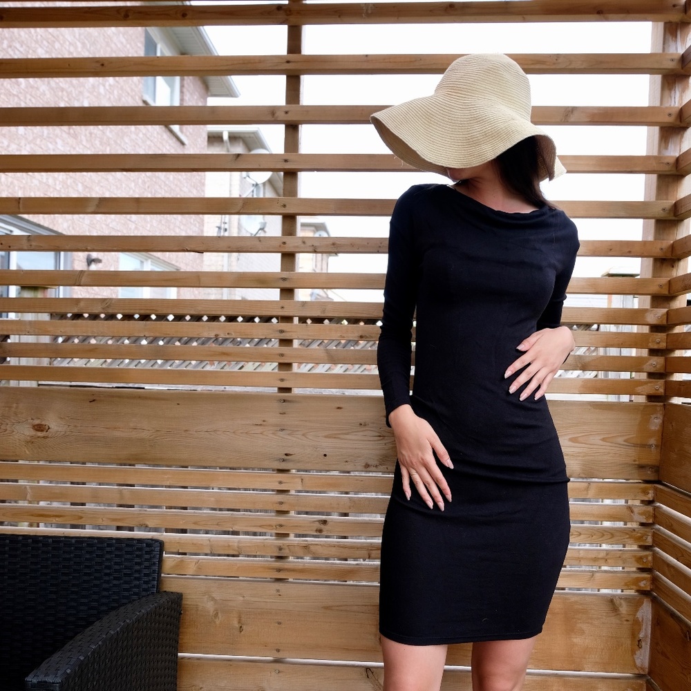 Zara W/B Collection Fitted Dress